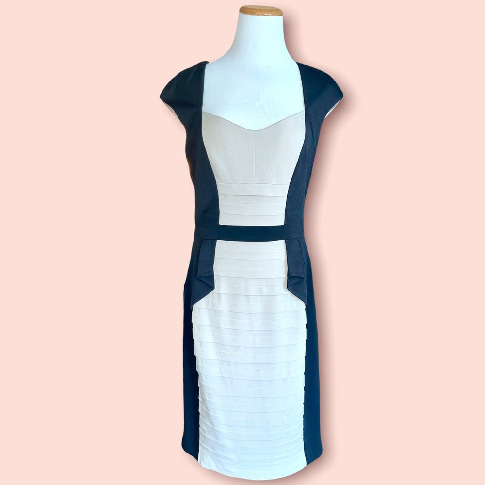 JAX Black and Beige Dress